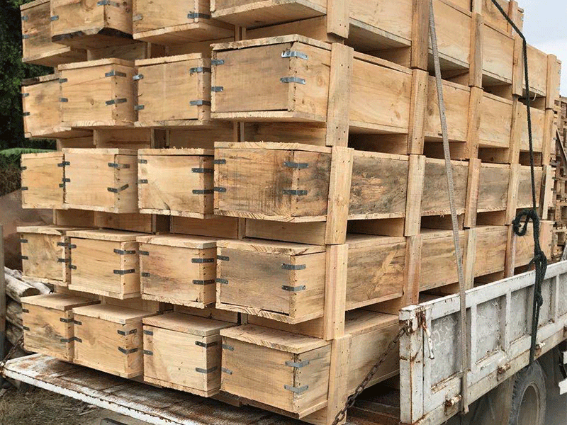 膠合箱，木箱 (22)